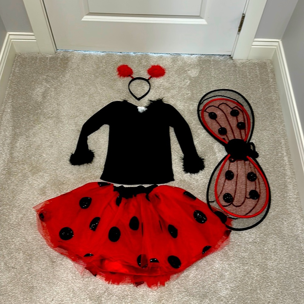 Pottery Barn Kids Ladybug Costume